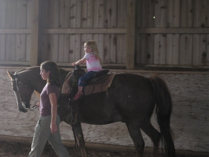 Addison Riding Horse4